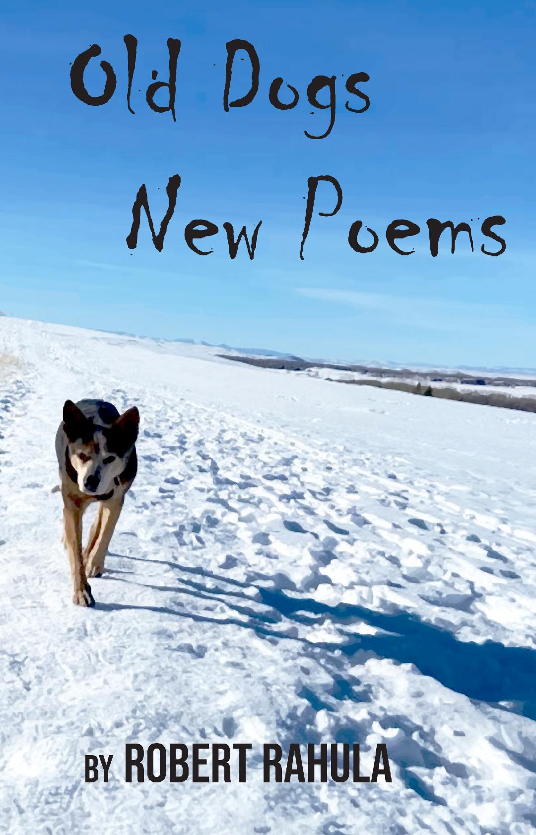 Old Dogs New Poems by Robert Rahula